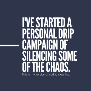 i-have-started-a-personal-drip-campaign-of-silencing-some-of-the-chaos